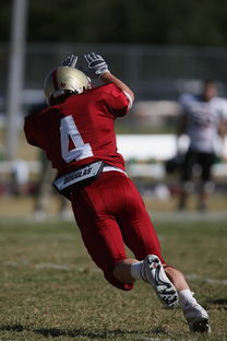 开云体育娱乐-全国青少年跳水锦标赛在深圳火热进行，全国青少年跳水比赛
